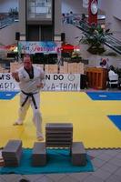 Taekwondo Forms