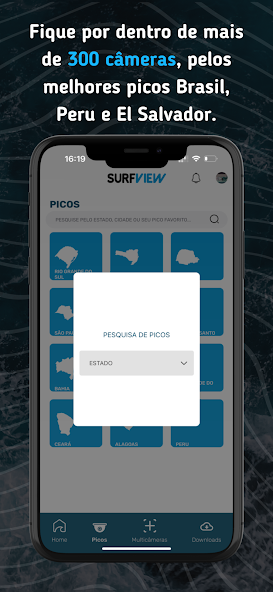 SurfView