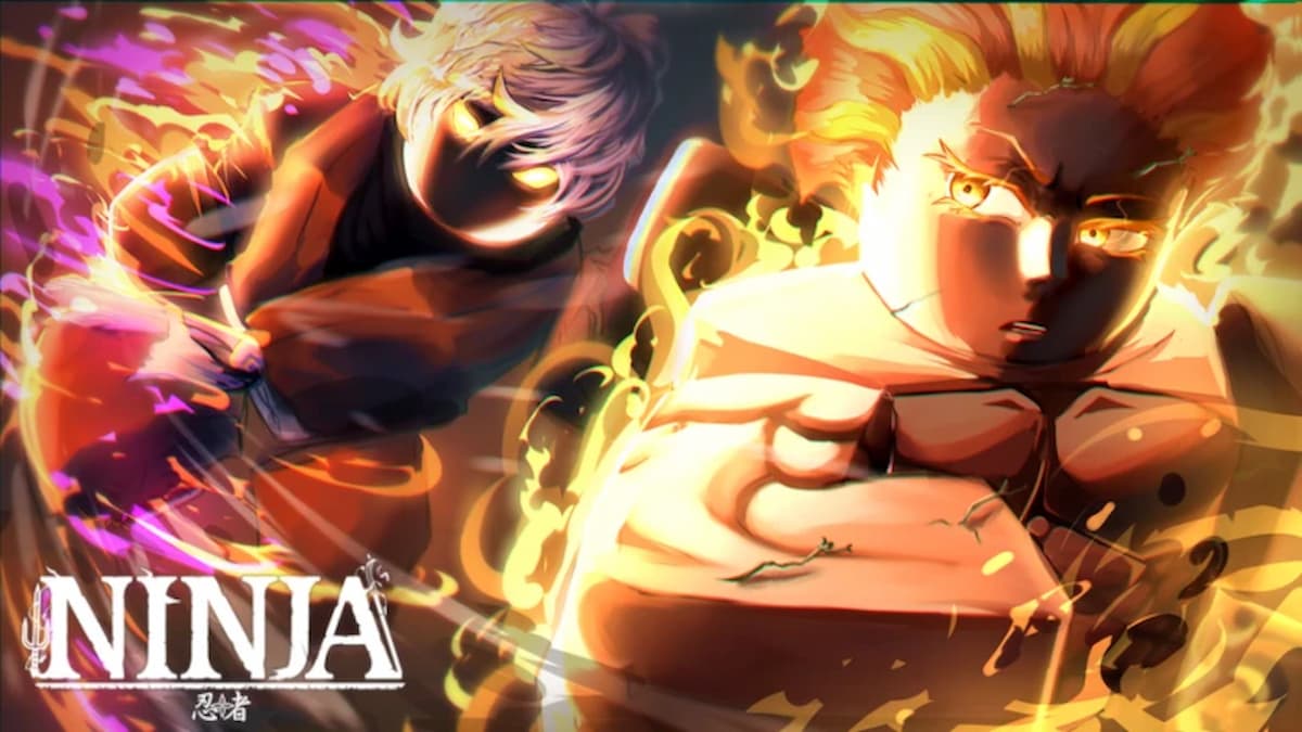 Ninja -Codes (Dezember 2024)