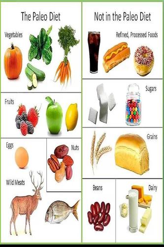 Paleo Diet Lifeline