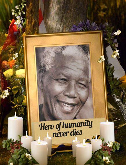 Nelson Mandela Live Wallpaper