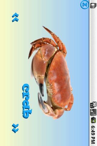 Seaside ABC