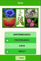 100 Plantas Medicinales