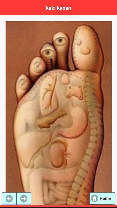 Diagnosa Penyakit