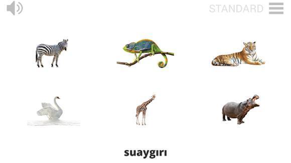 Lyrebird: Learn TURKISH