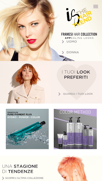 Framesi Hair Collection