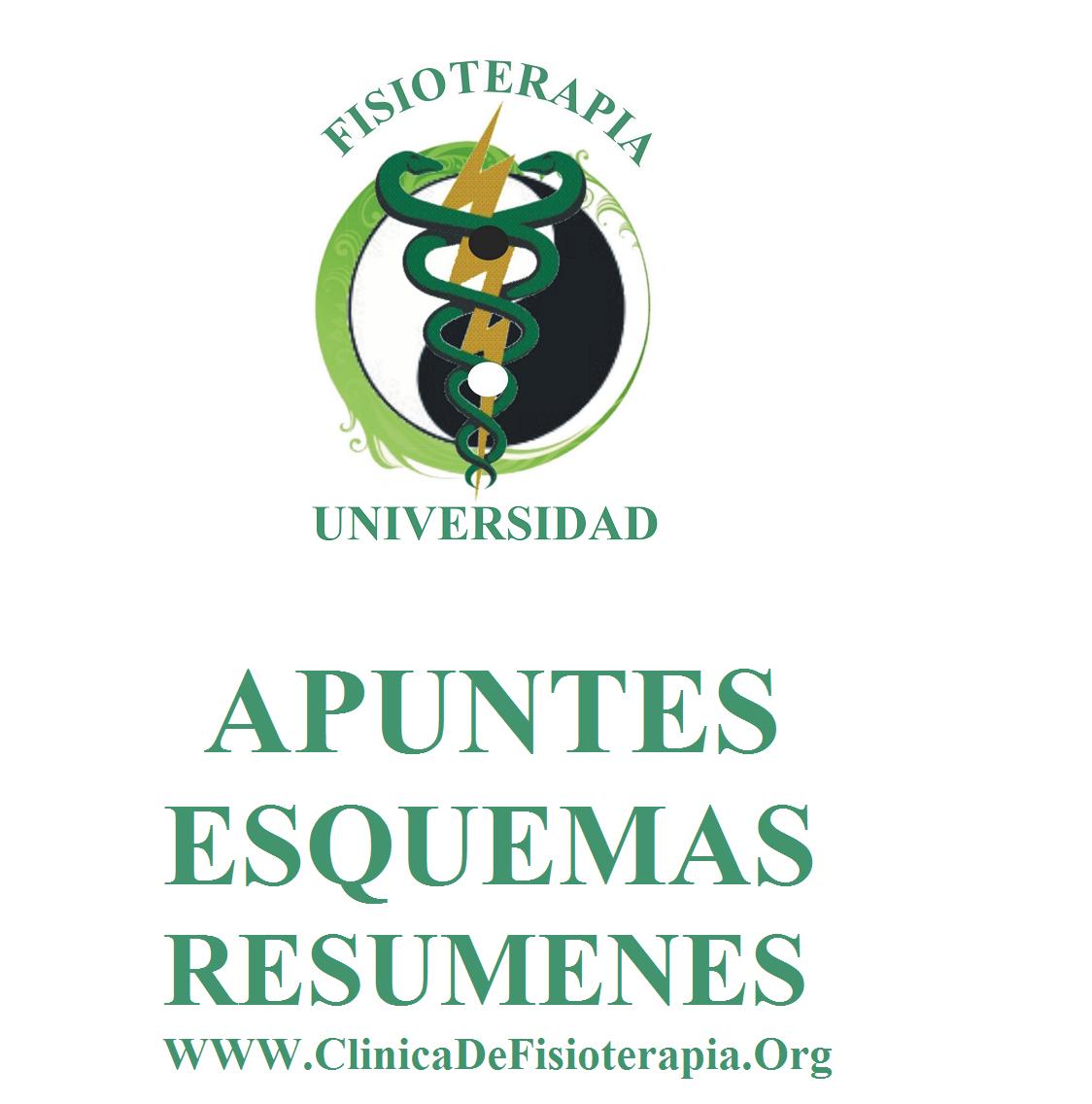 Apuntes Fisioterapia