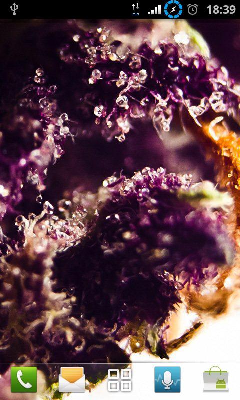 Hemp HD Wallpapers