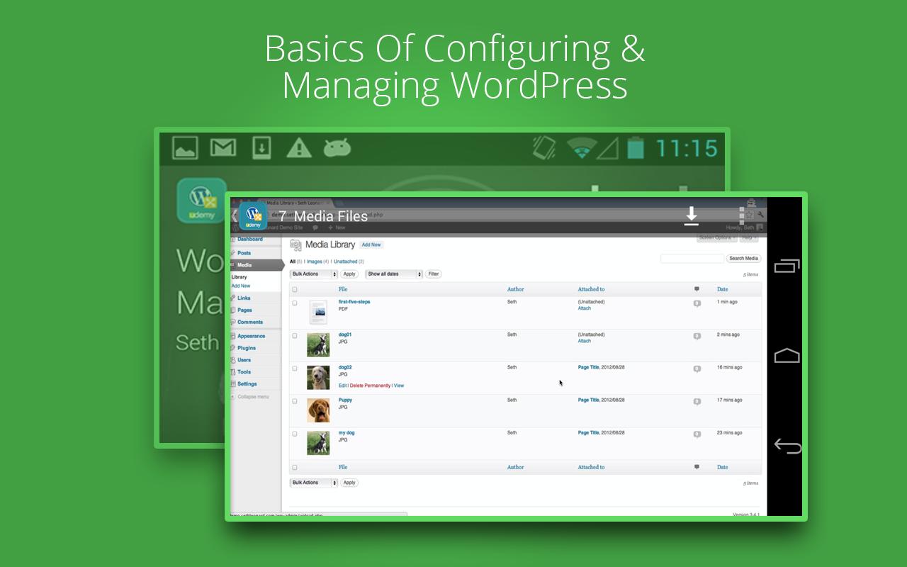 WordPress Basics