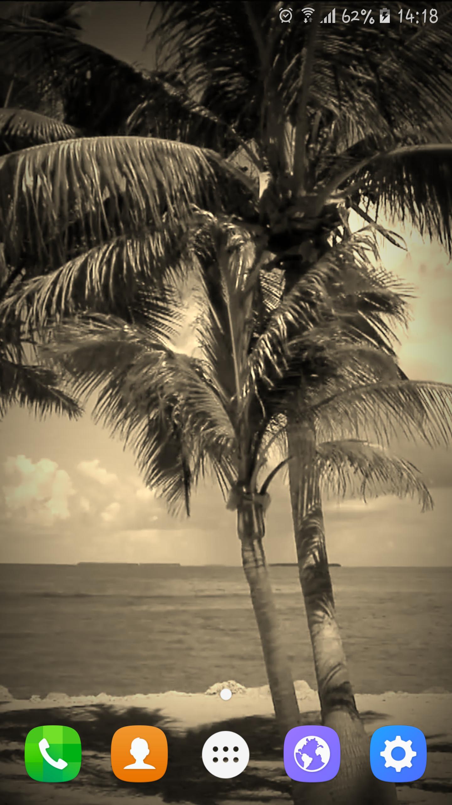Beach Trees Live Wallpaper