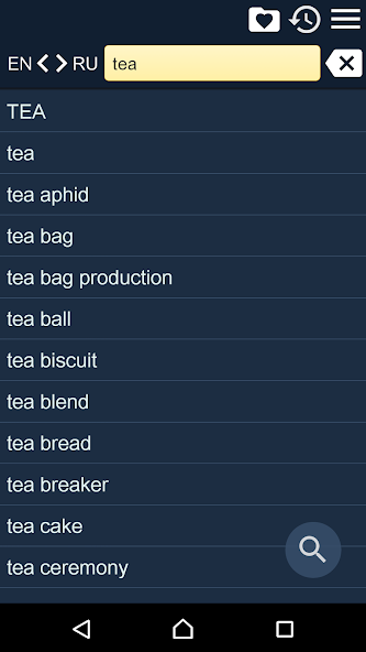 English-Russian Dictionary