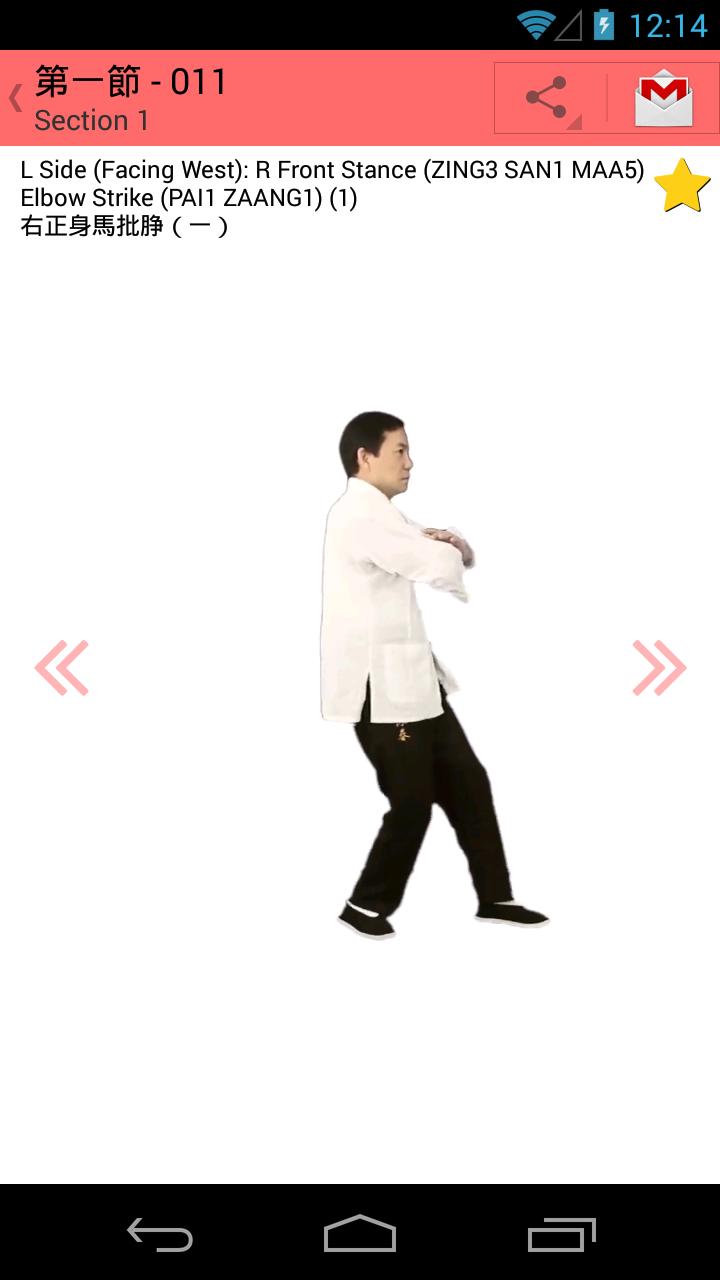 Wing Chun Chum Kiu Form