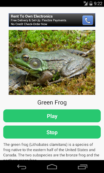 Frog Calls