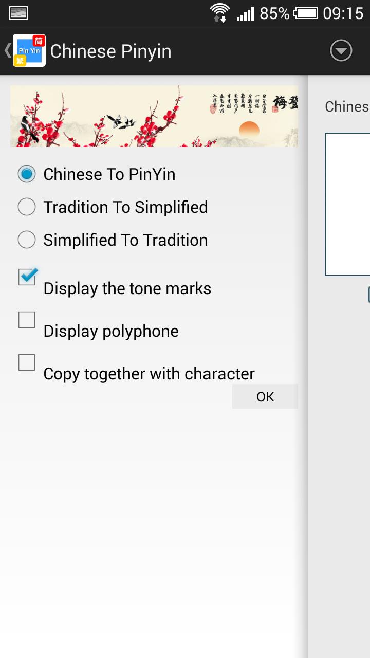 Chinese Pinyin Pro