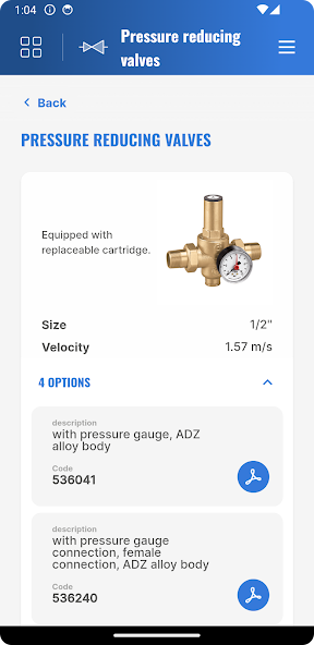 Domestic Water Sizer Caleffi