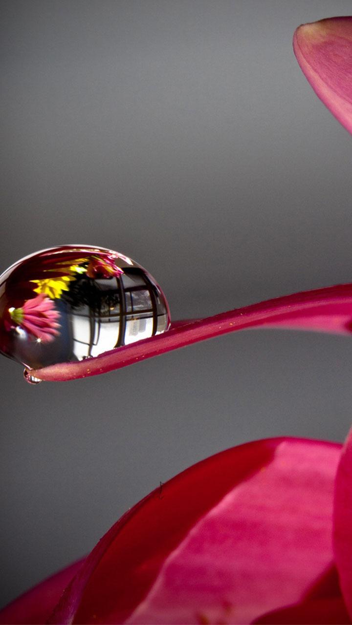 Drops Live Wallpaper