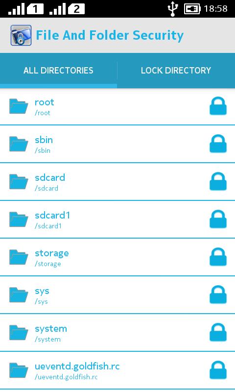 File and Folder Security