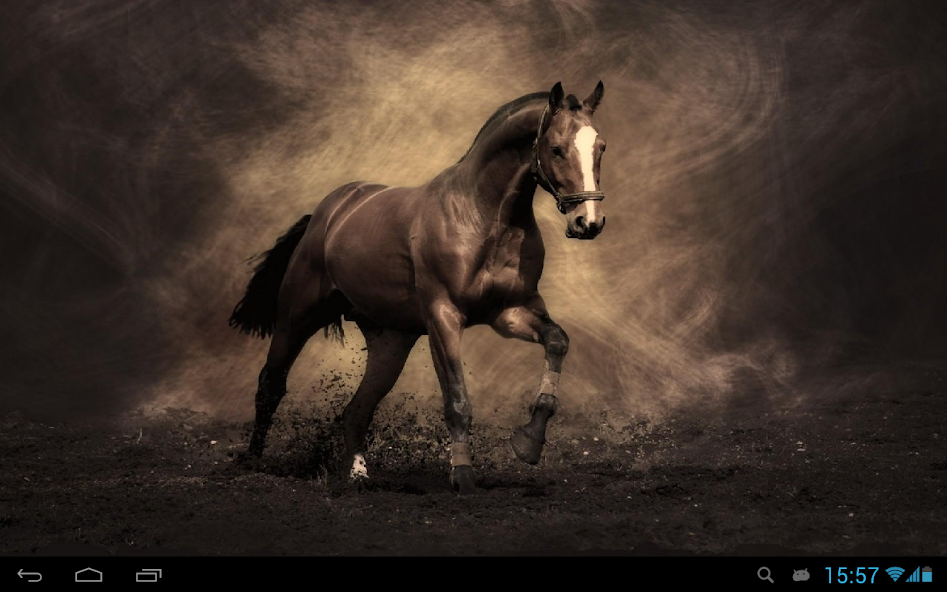 Horses Live Wallpaper
