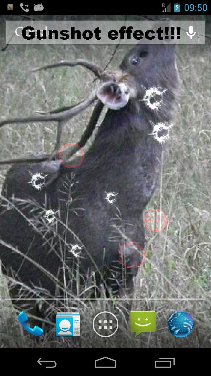 Deer Hunting Live Wallpaper