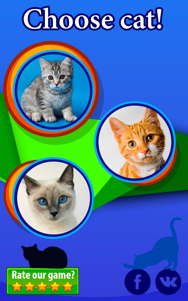 Pet Cats: Happy Meow