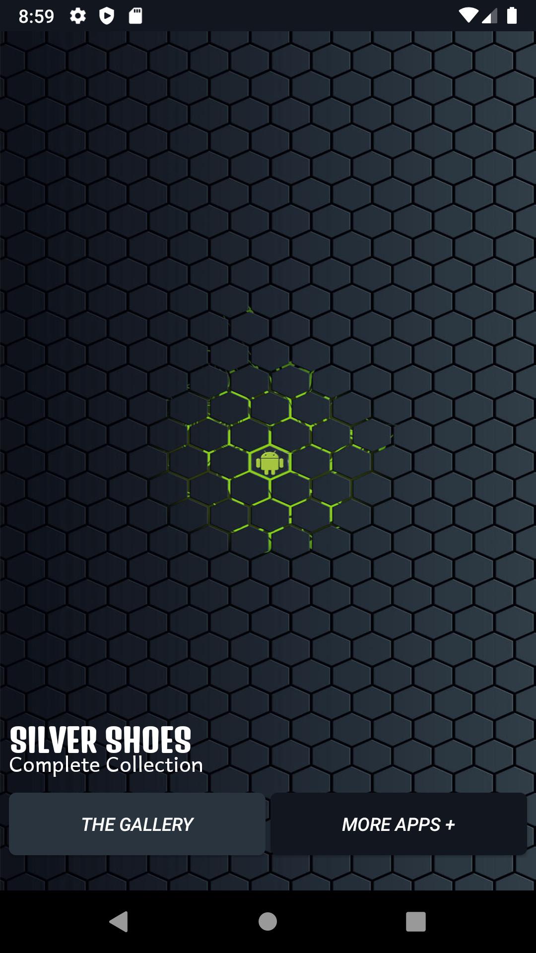 Silver Shoes Designs