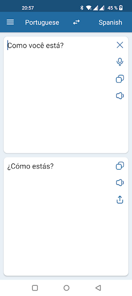 Spanish Portuguese Translator