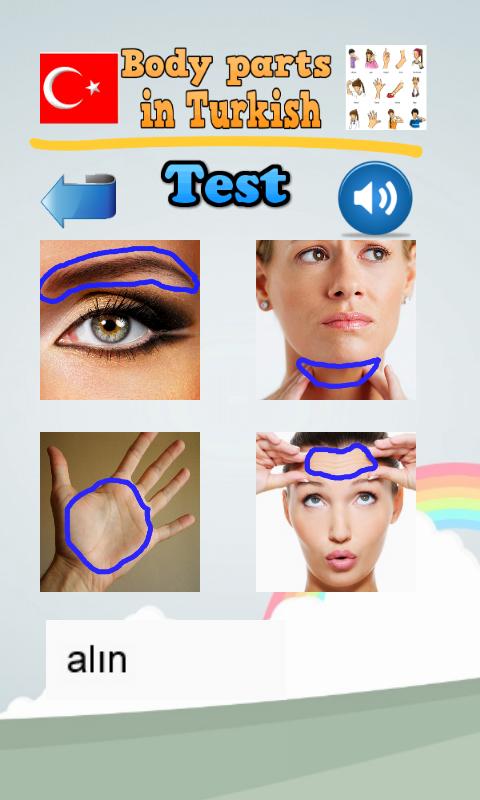 Learn Body Parts in Turkish