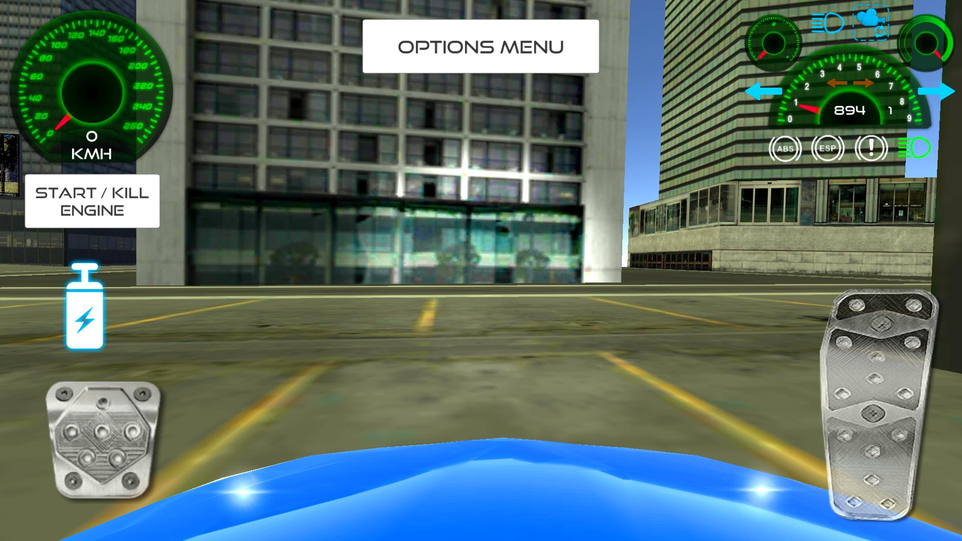 City Driving French Car