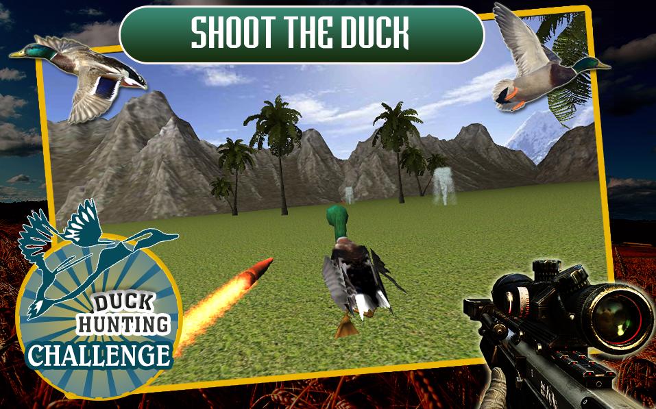 Duck Hunting Challenge
