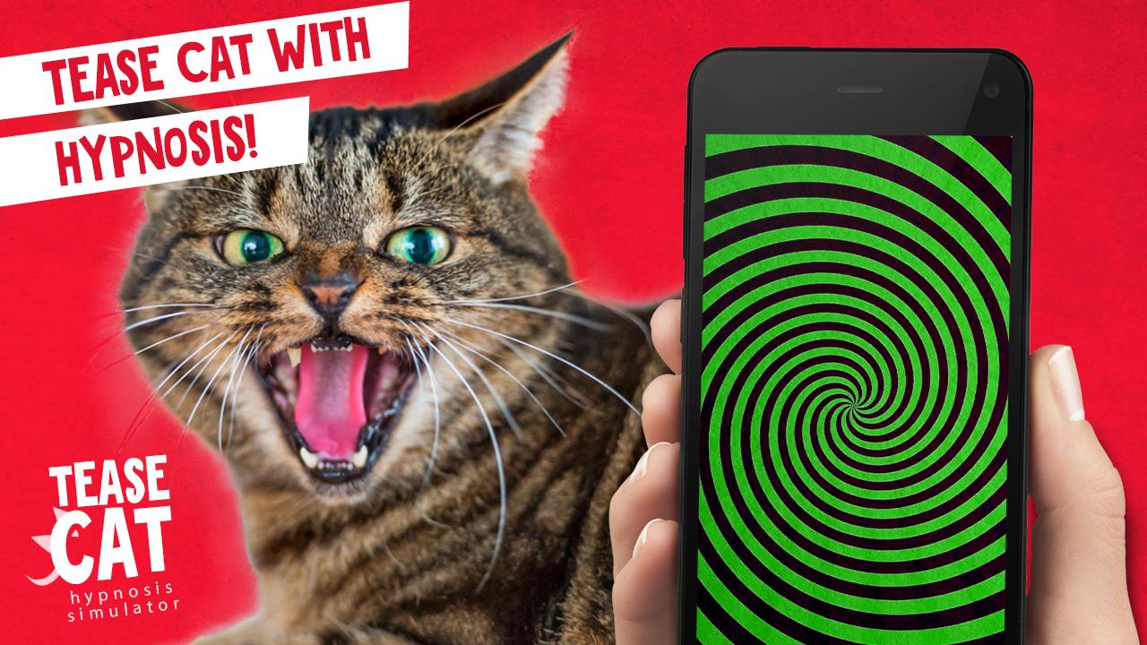 Tease Cat! Hypnosis simulator
