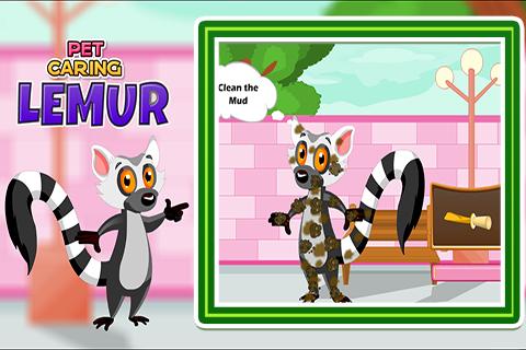 Pet Caring Lemur