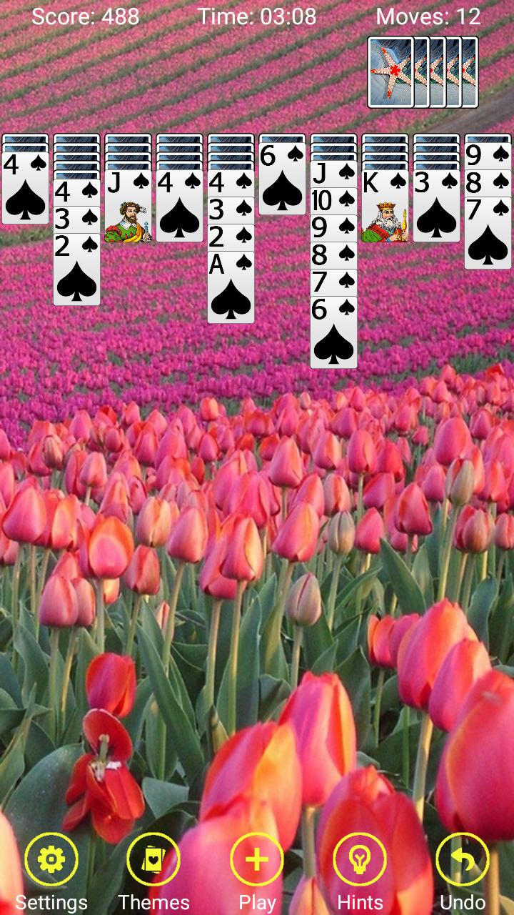 Spider Solitaire - Windows Classic