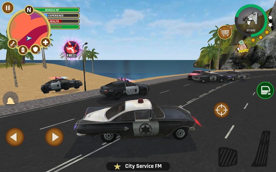 Miami Crime Police
