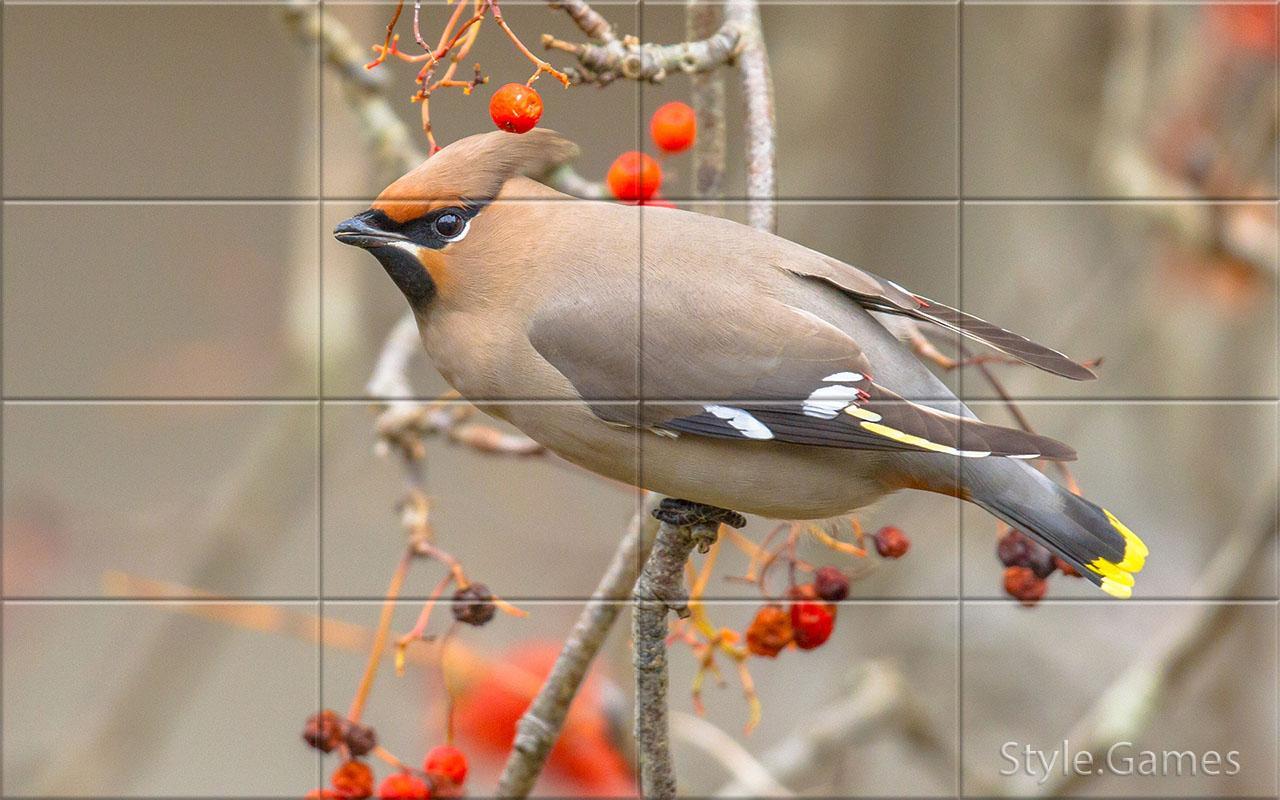 Sparrows Puzzle