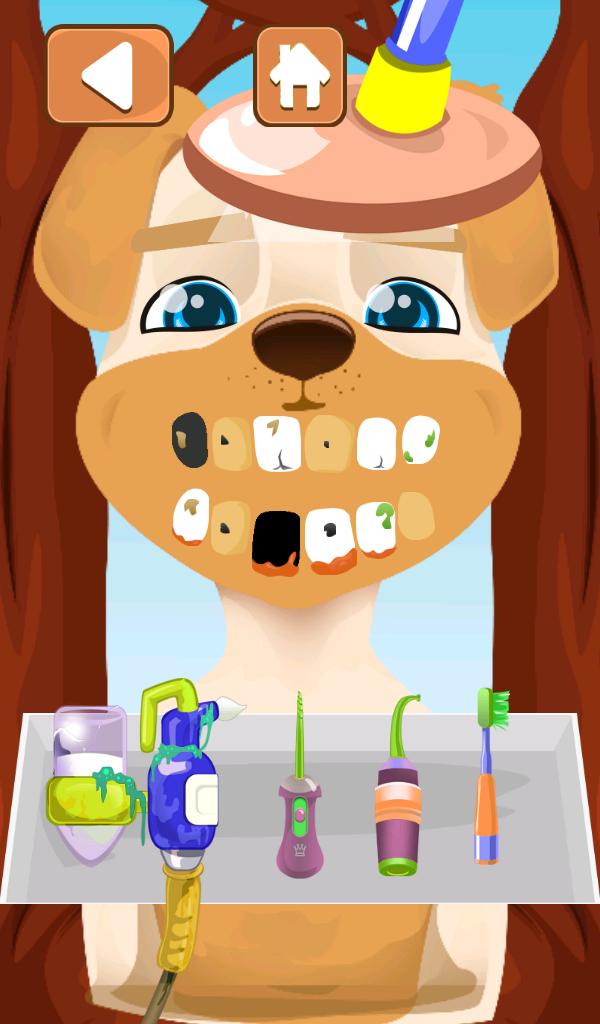 Dentist Pets