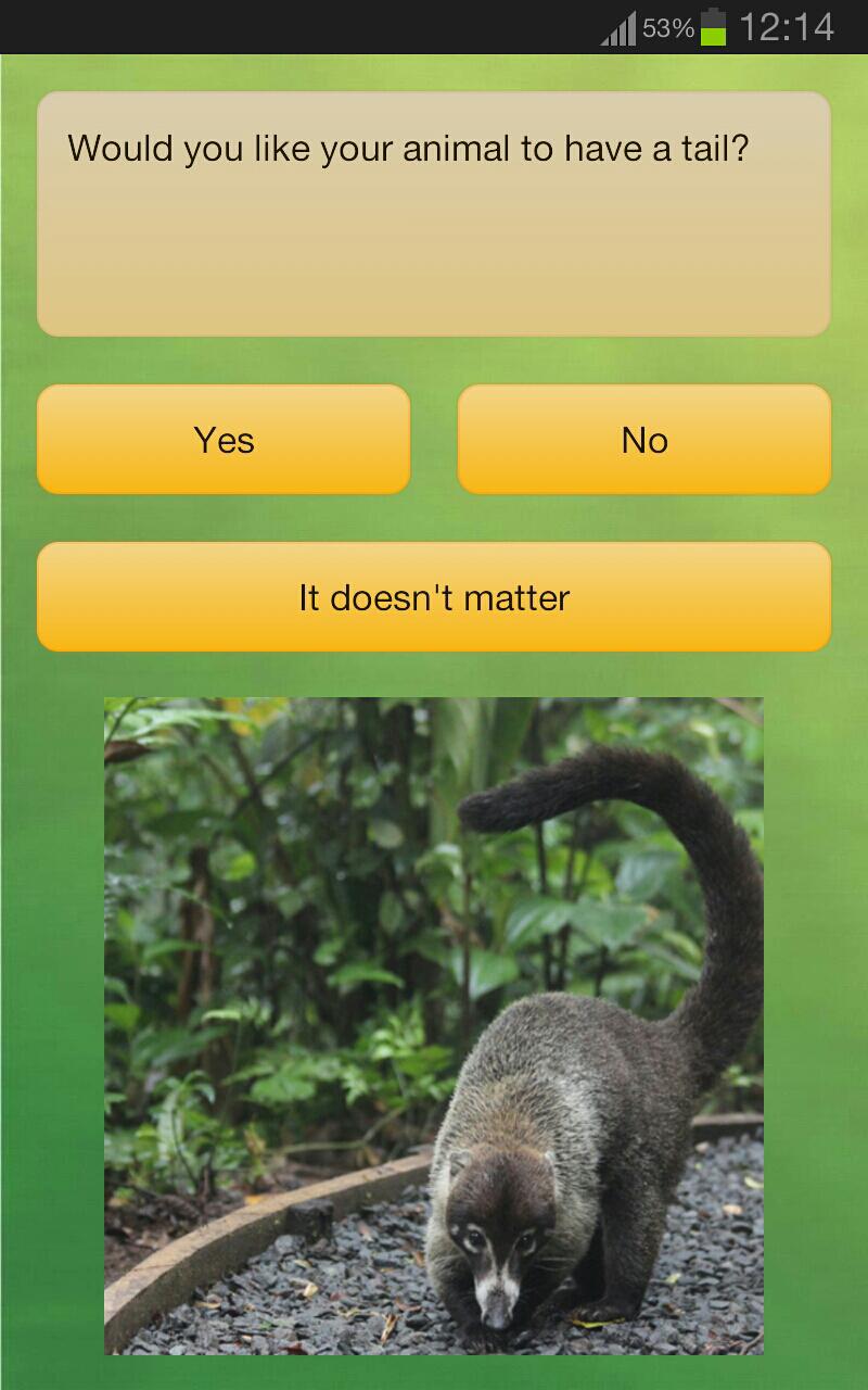 Best Animal 4 Me