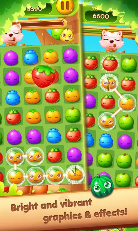 Fruit Splash Legend