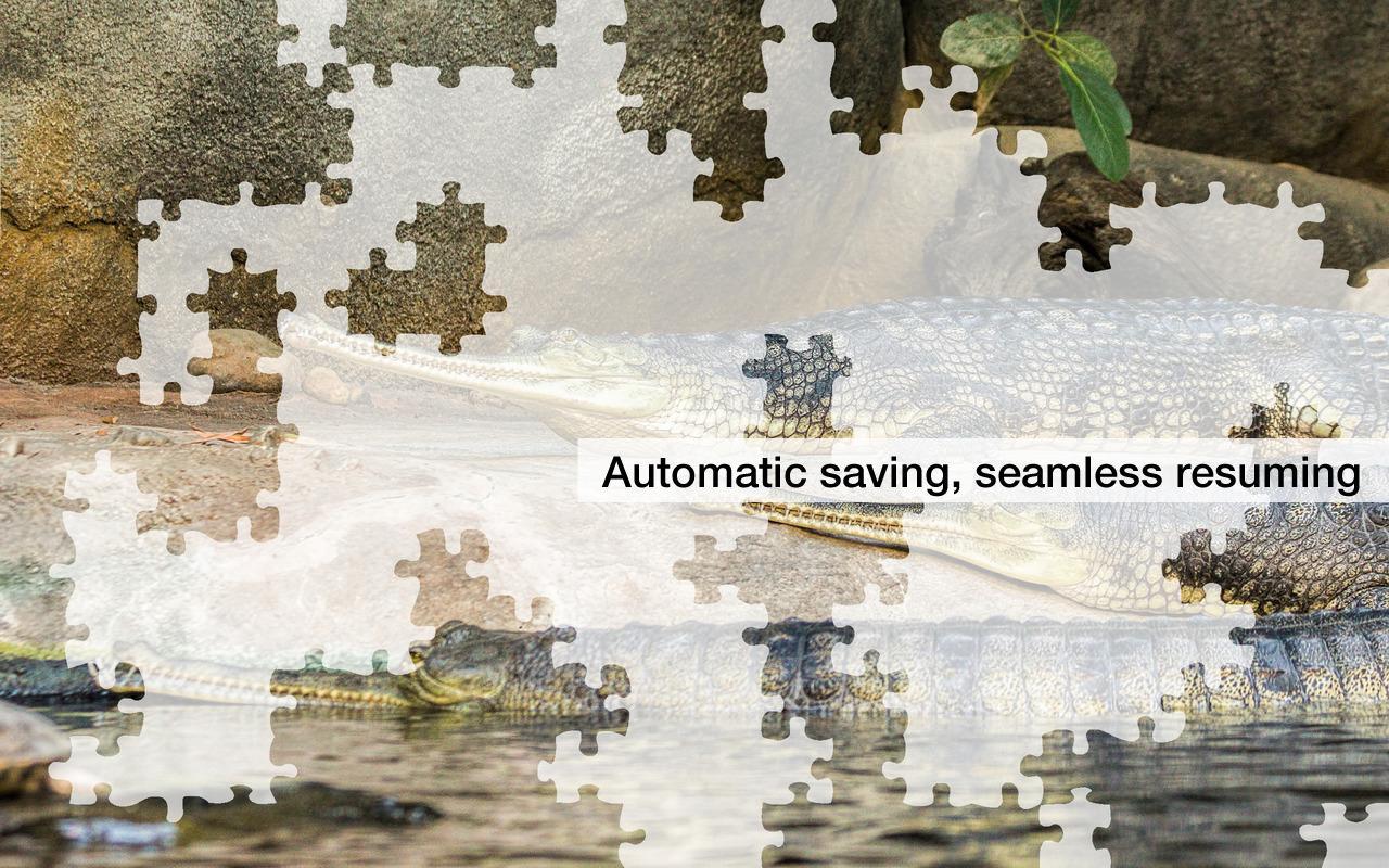 Jigsaw Puzzles: Dang. Animals