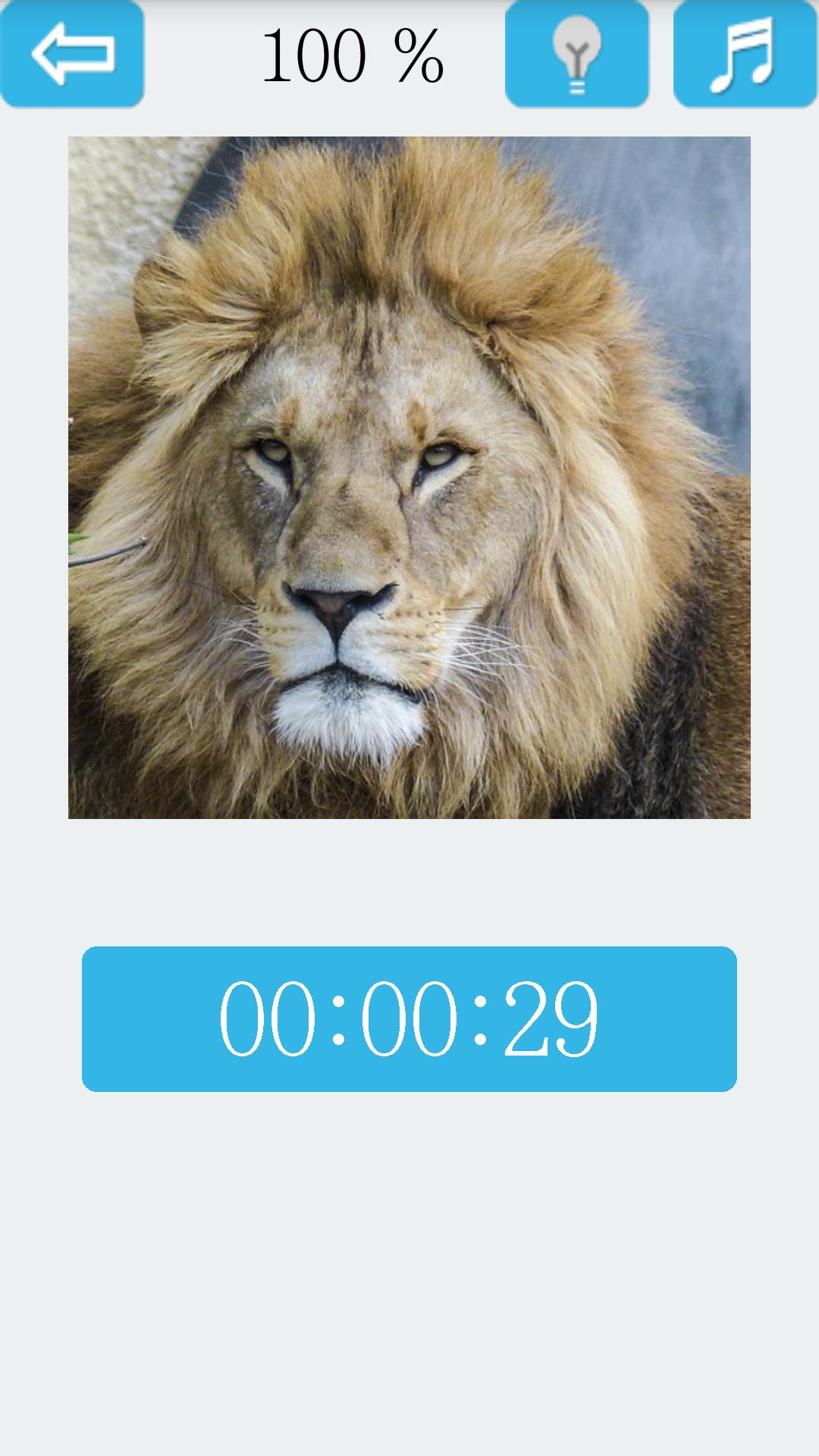 Jigsaw Puzzle: Lion