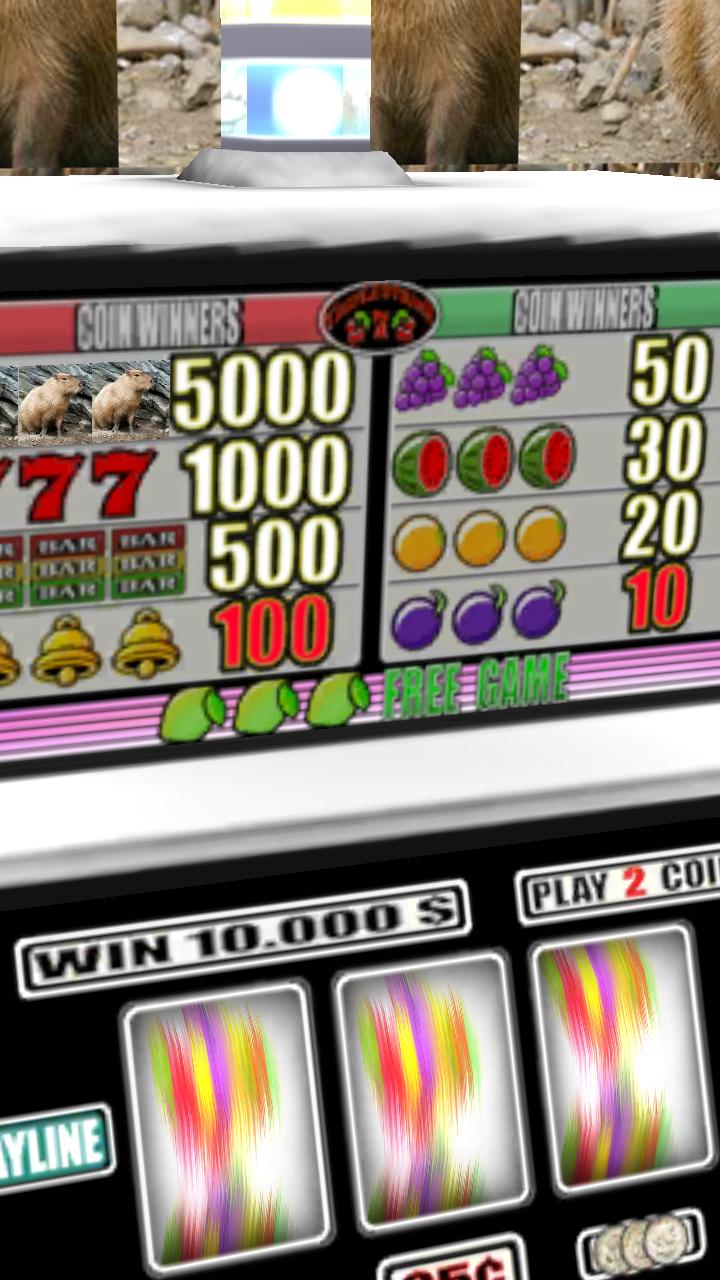 3D Capybara Slots - Free
