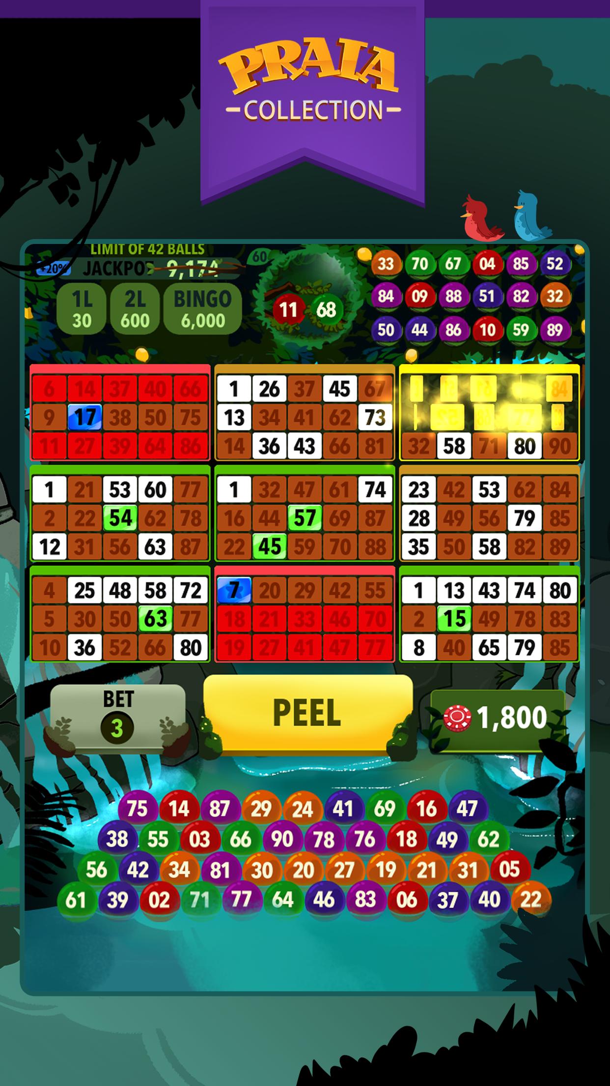 Video Bingo Ubatuba