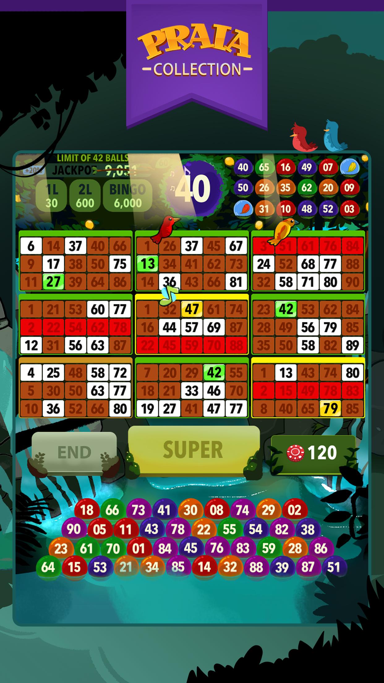 Video Bingo Ubatuba