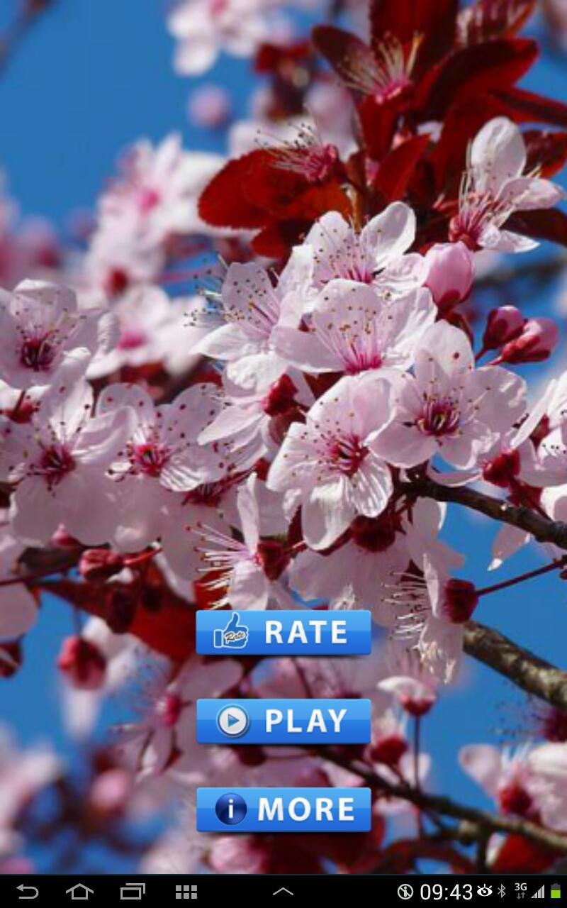 Best Flower game