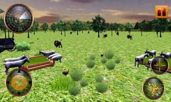 Lion Hunting