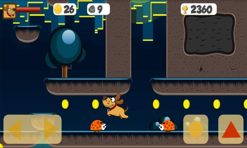 Paw Journey