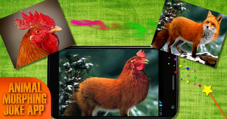 Morph animals Hybrids Face