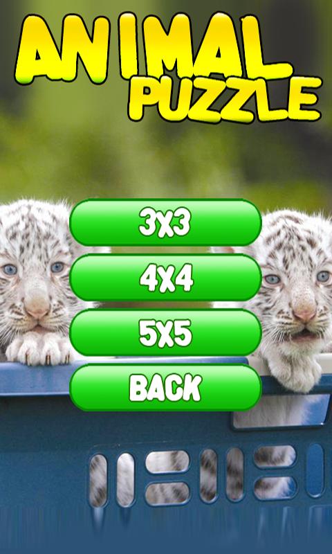 Animal Puzzles