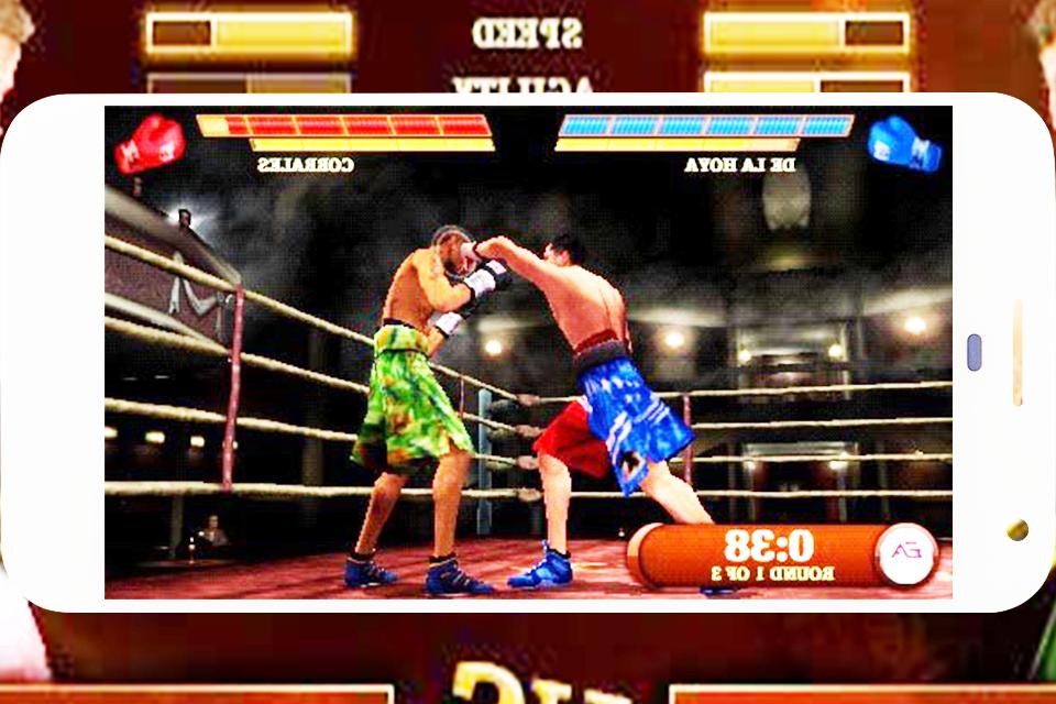 Real Boxing Fight Night Boxer