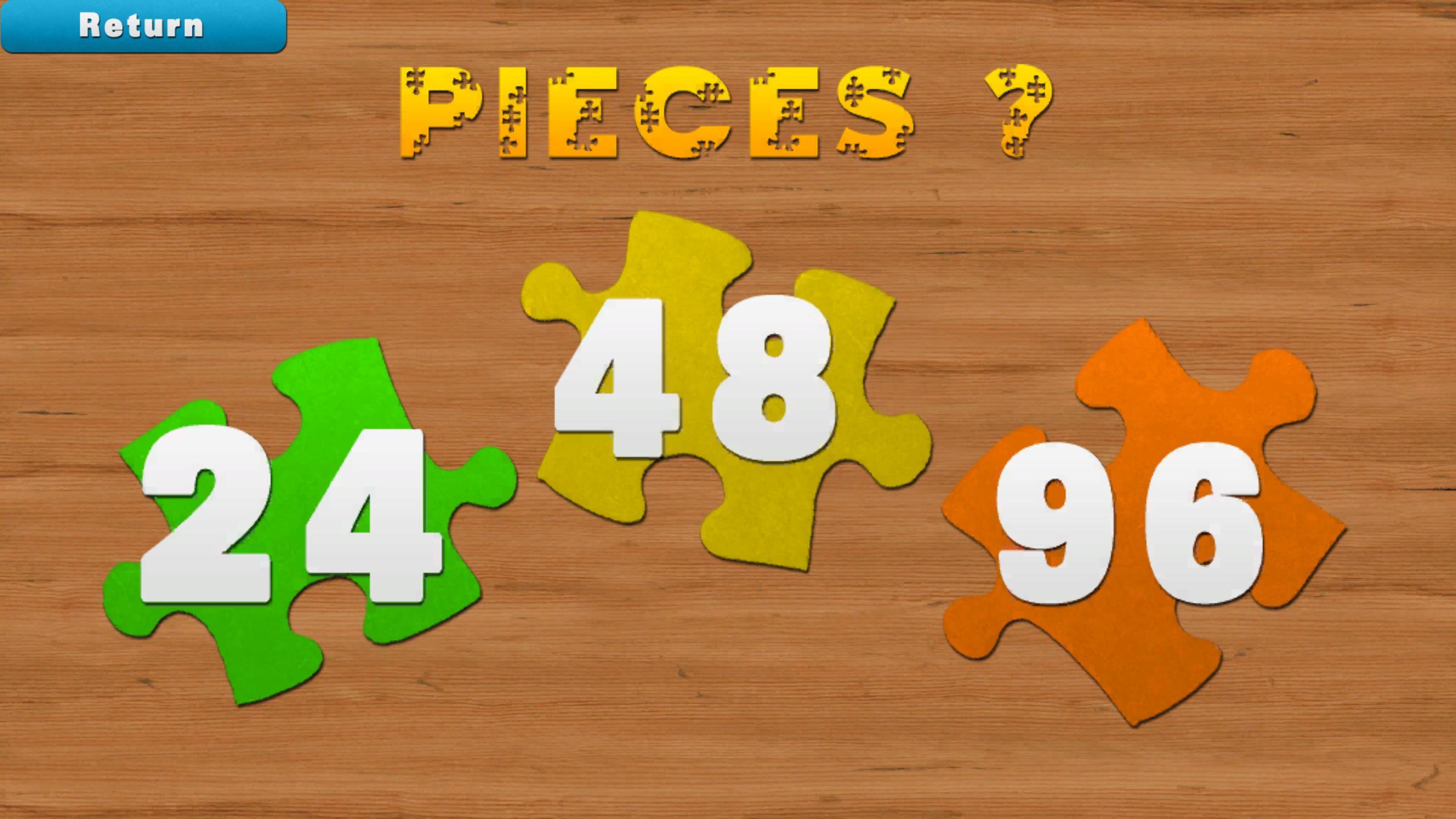 Jigsaw Puzzles!